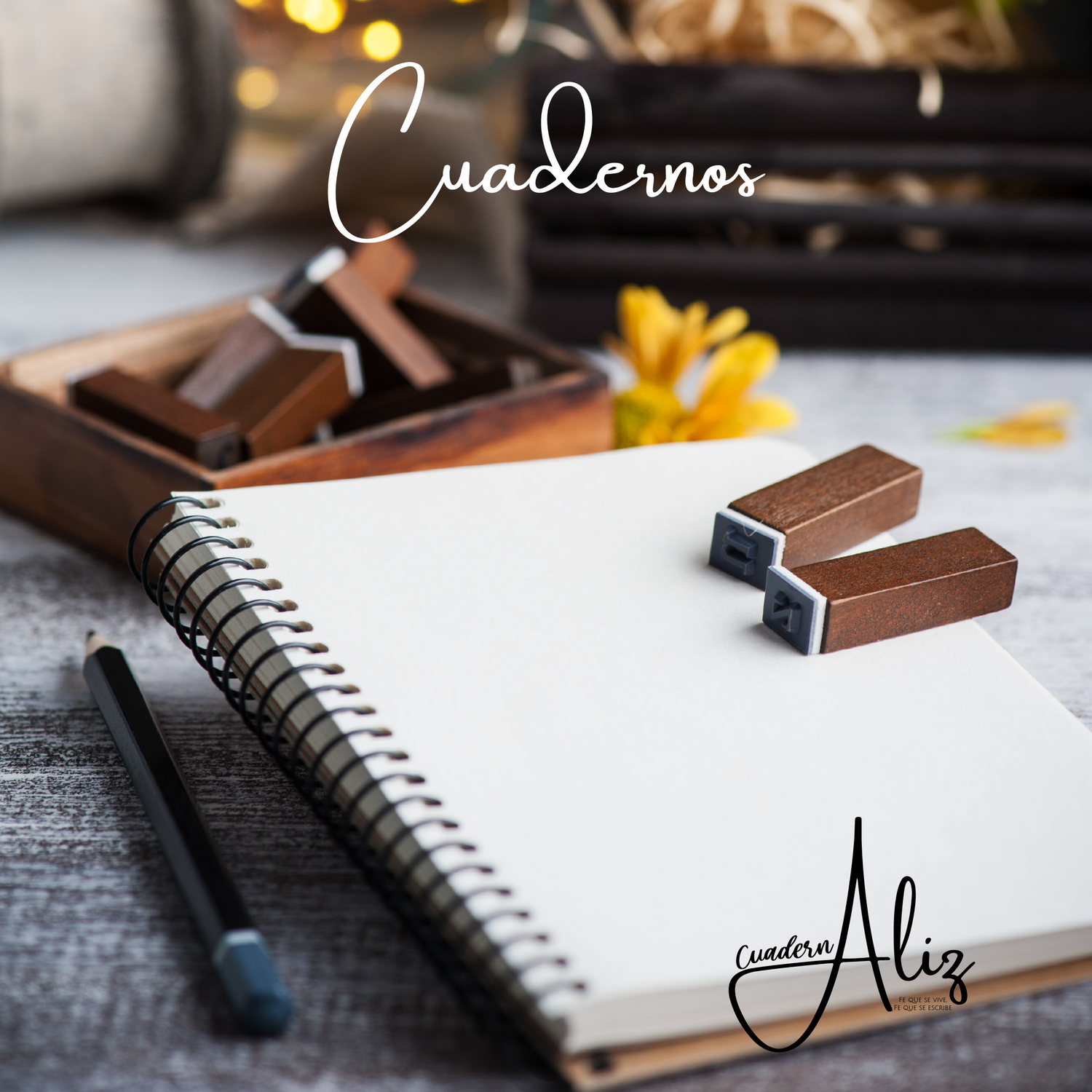 Cuadernos