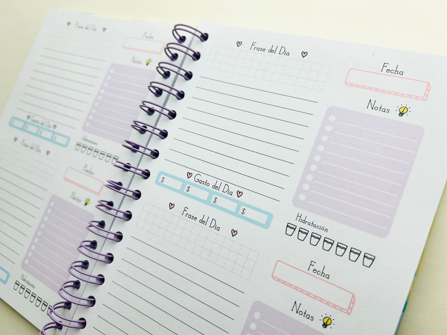 Planner "Todo saldra bien"